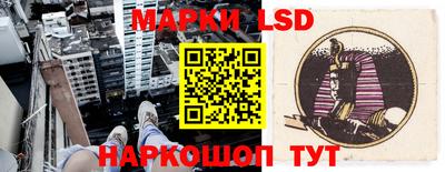 шишки Шелехов