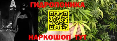СК Шахты