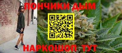шишки Шелехов