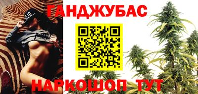шишки Шелехов