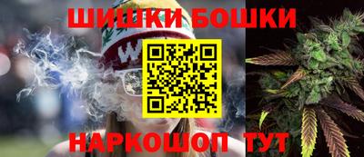 шишки Шелехов