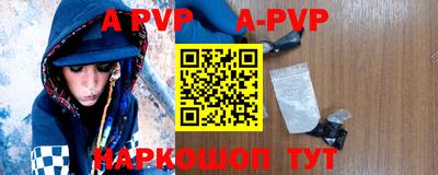 СК Шахты