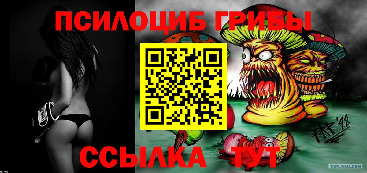 Новошахтинск  Псилоцибиновые грибы MAGIC MUSHROOMS  Вход с VPN  Галлюциногенные грибы мухоморы 